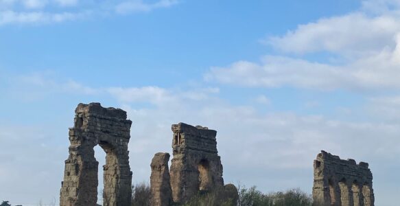 Protetto: Fiore Rosso – Caccia Dicembre