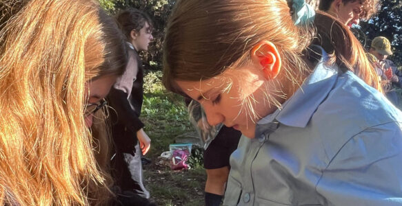 Protetto: Fiore Rosso – Caccia Novembre