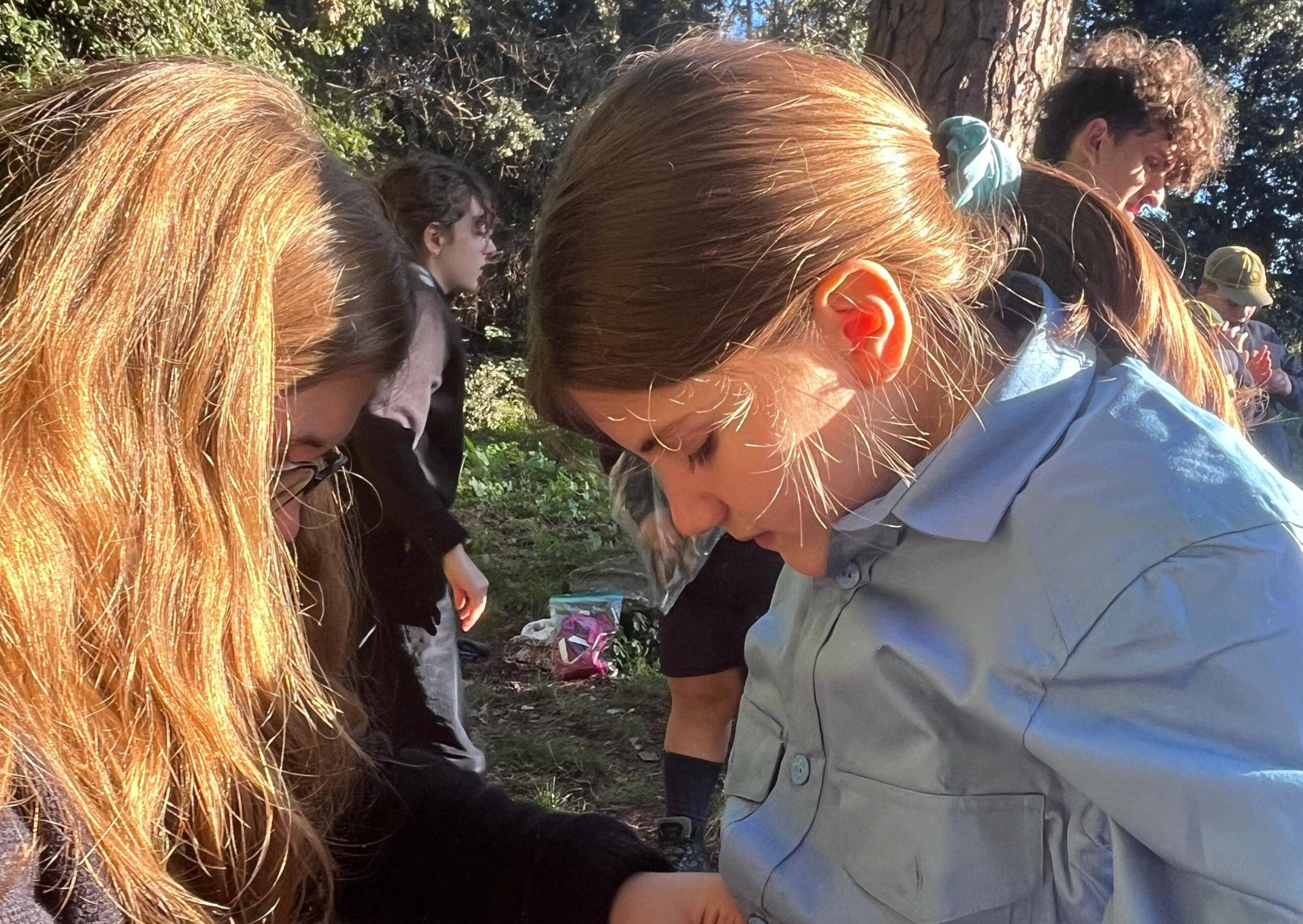 Protetto: Fiore Rosso – Caccia Novembre