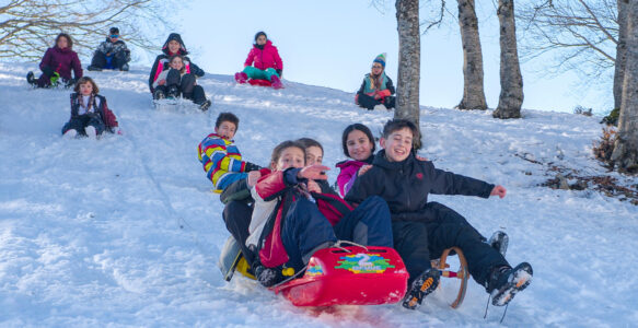 Protetto: Caccia Campo dell’Osso – 22 febbraio 2026