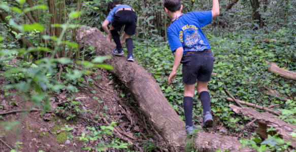 Protetto: Seeonee – Caccia Bosco Tor Marancia 12-04-2026