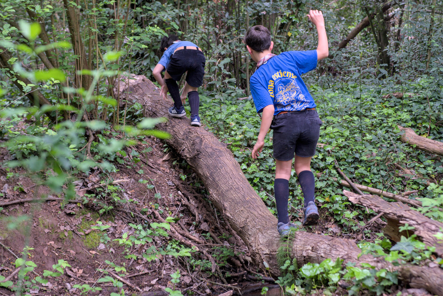 Protetto: Seeonee – Caccia Bosco Tor Marancia 12-04-2026